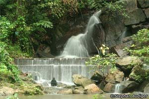 Thailand, Phuket, kathu-waterfalls