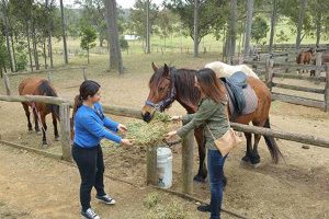 Hunter Valley Horse Riding & Adventures
