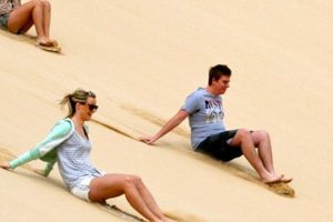 Sandboarding, Sand Dune Safaris