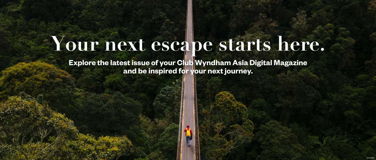 26-5350-AMM-B-Digital Magazine Issue 2 Launch Assets – Website Banner
