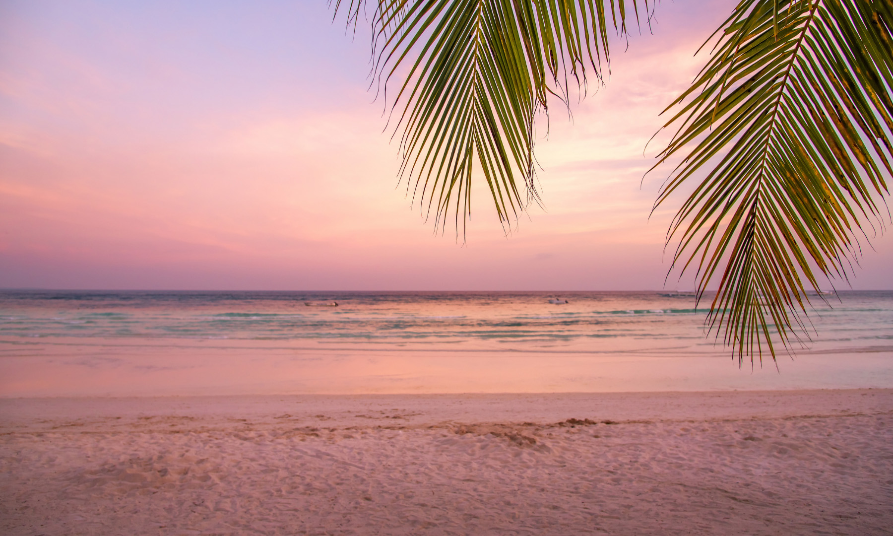 bpi-online-travel-fair-2025-club-wyndham-asia