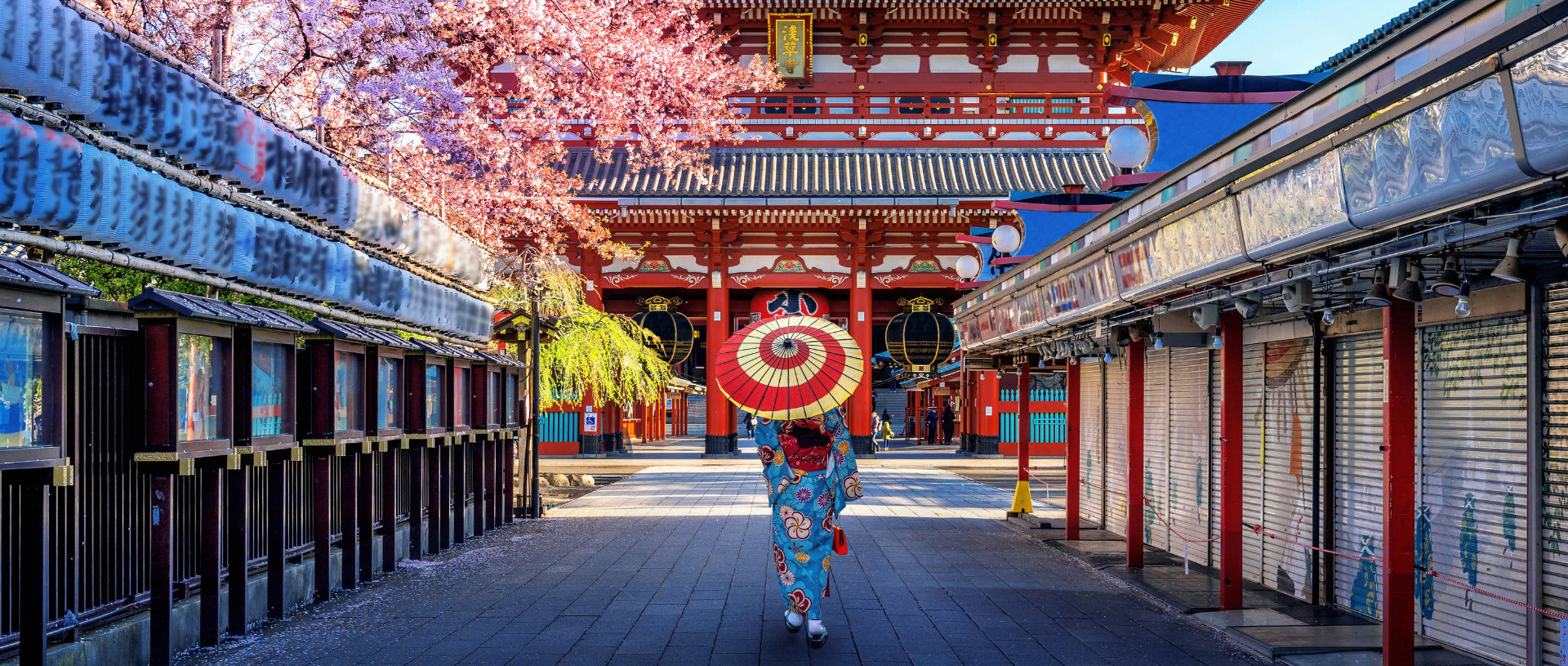 japanese-woman-walking-to-temple-cherry-blossom