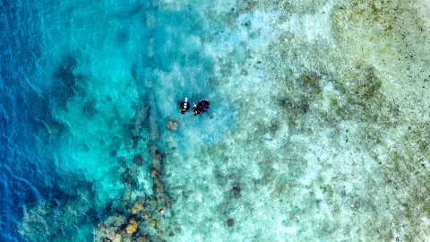 Top Diving and Snorkeling Spots in Indonesia